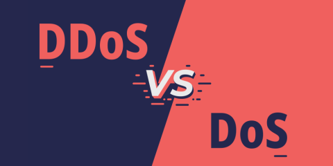 DDoS-vs-DoS